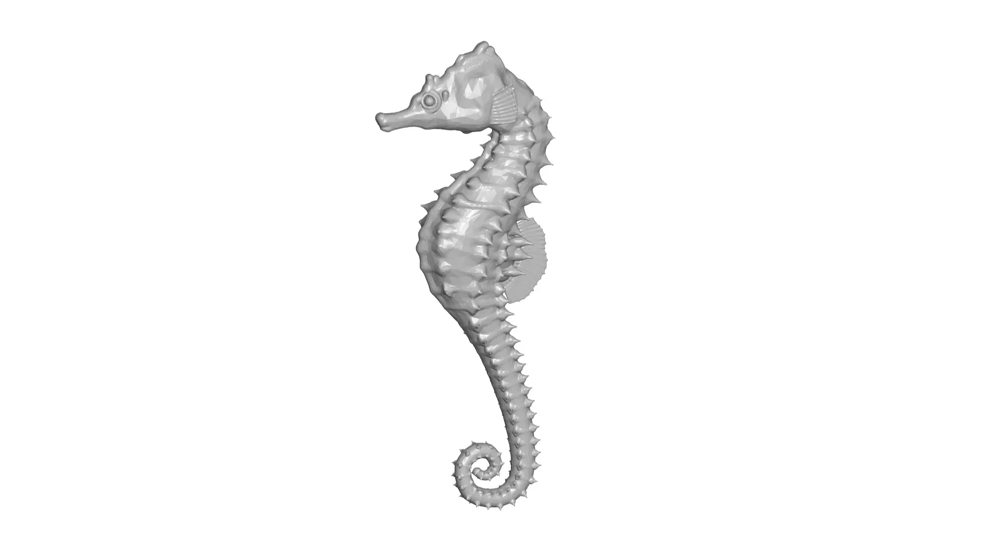 Seahorse 3D model_0