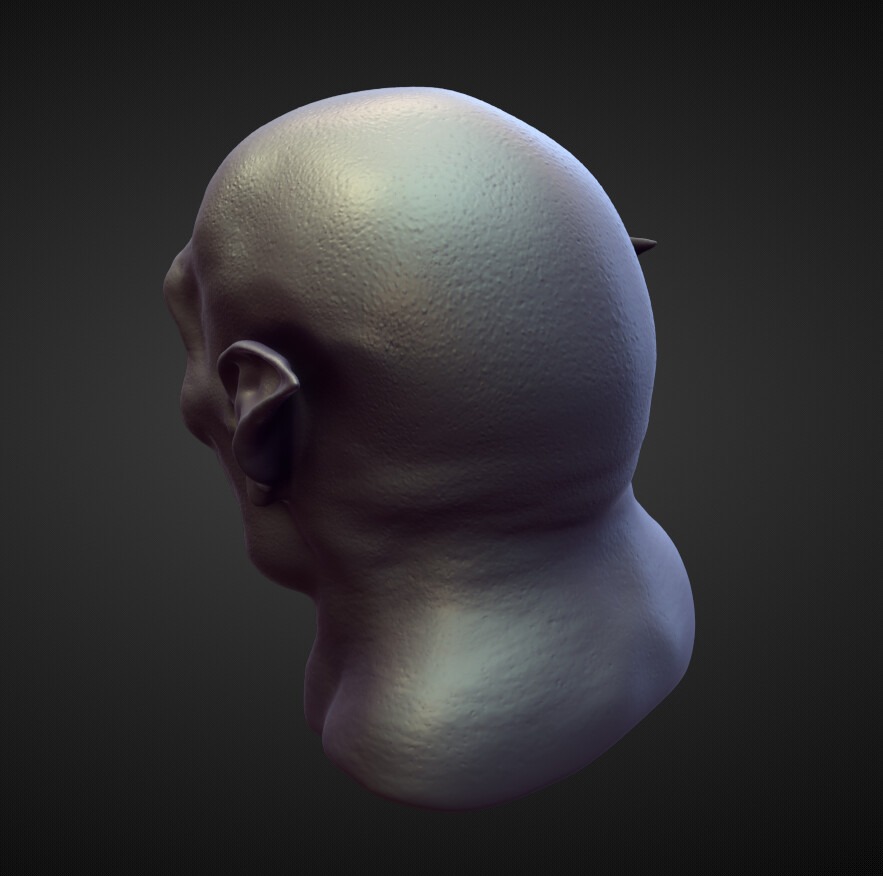 HEAD55 high poly sculpt 3D model_2