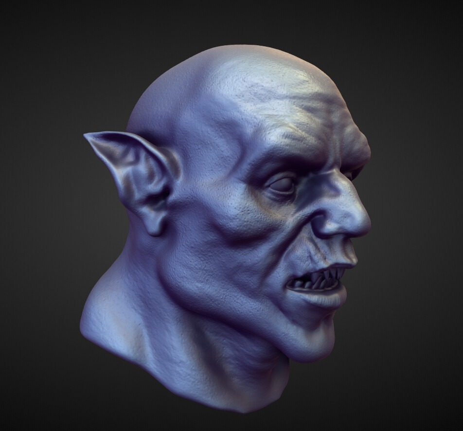 HEAD55 high poly sculpt 3D model_1