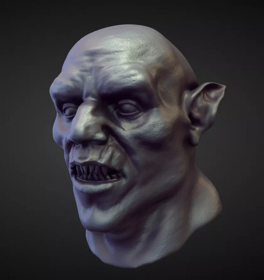 HEAD55 high poly sculpt 3D model_0