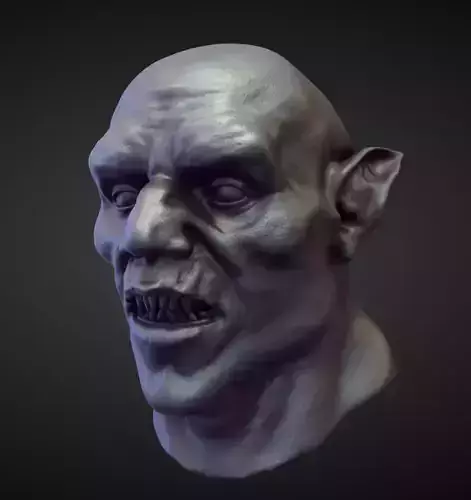 HEAD55 high poly sculpt 3D model