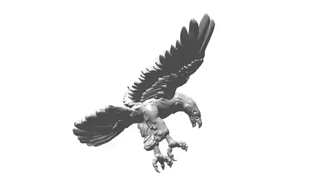  Eagle attacking