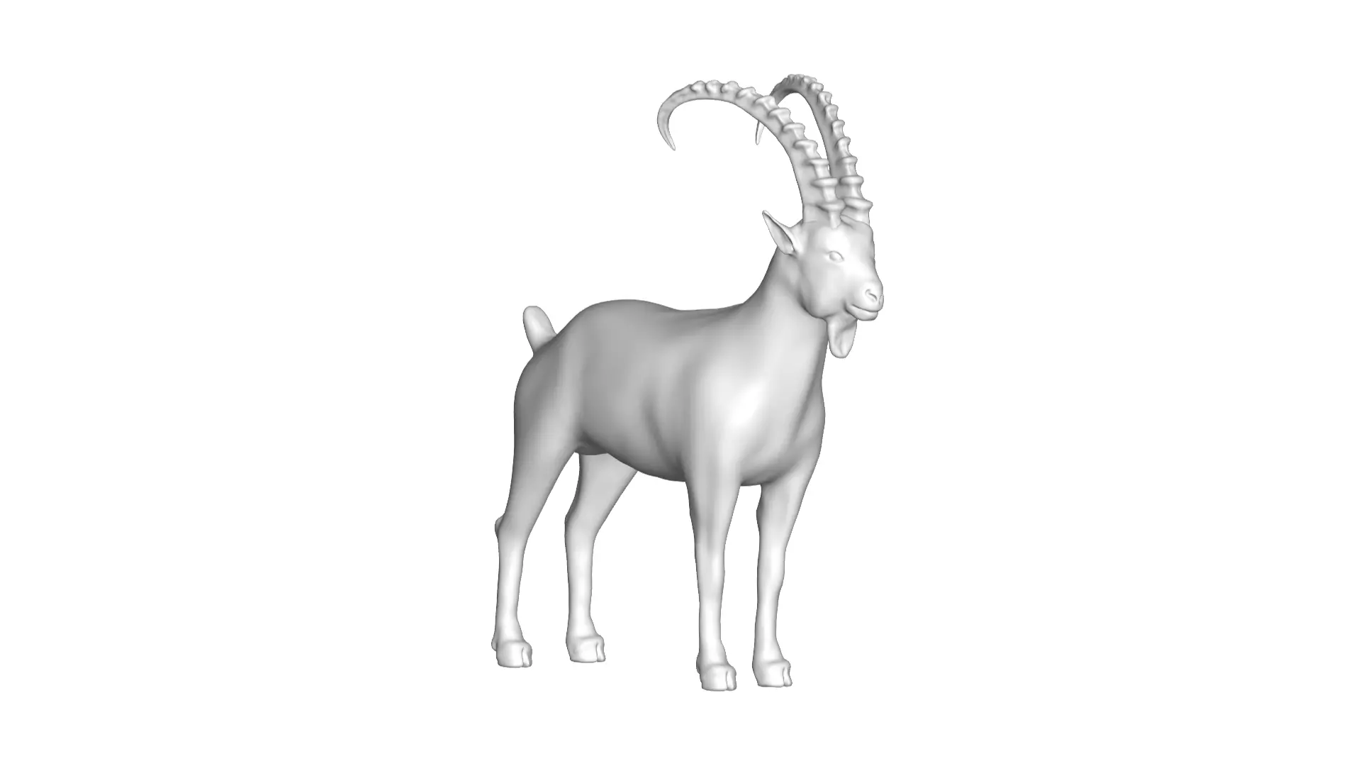goat  - 3D model_0