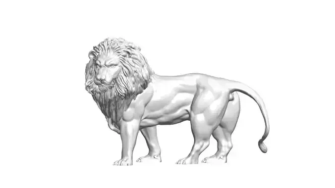 Lion -