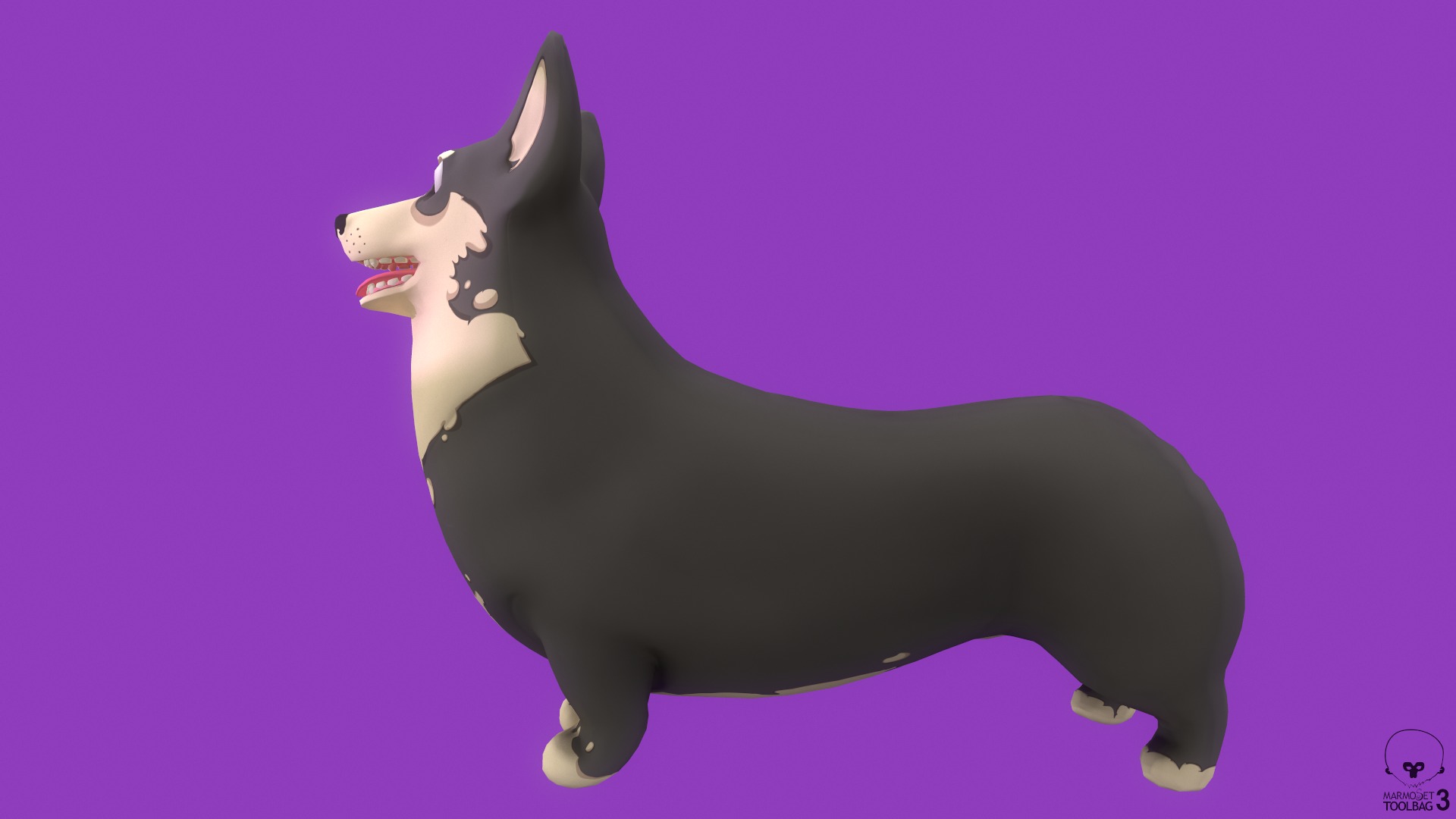 Stylized Grey Welsh Corgy for Games and Animation Low-poly 3D model_4