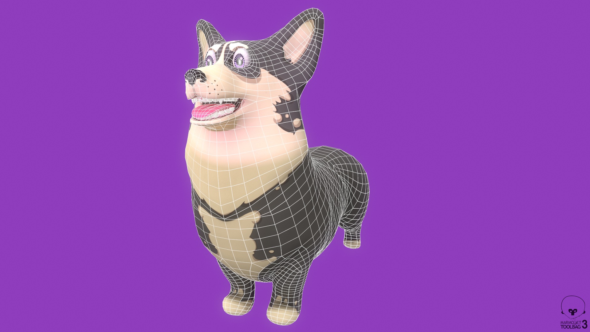 Stylized Grey Welsh Corgy for Games and Animation Low-poly 3D model_7