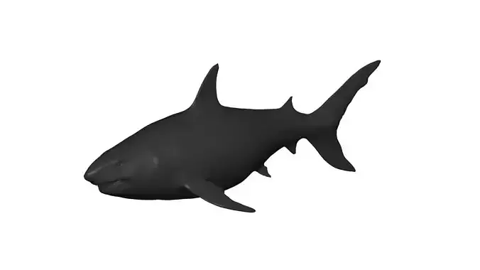 Megalodon