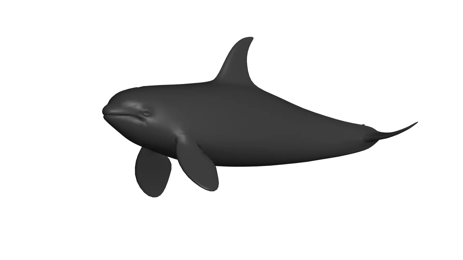 Orca - 3D model_0