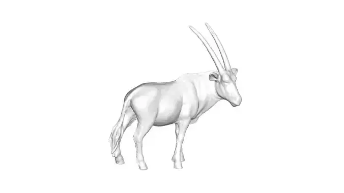 Oryx - 3D model