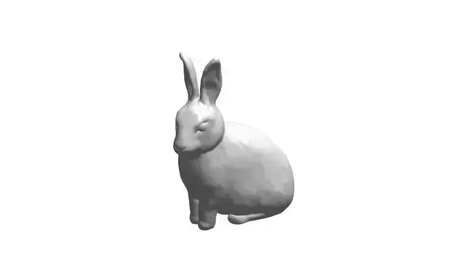 Rabbit 