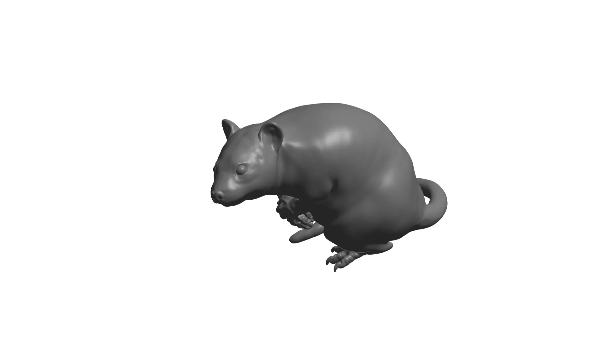 Rat  - 3D model_0