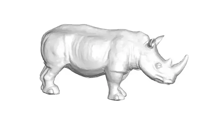 Rhino