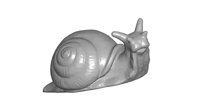 Snail