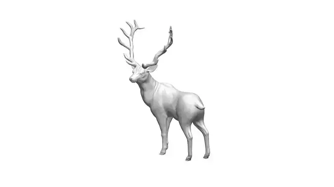deer -