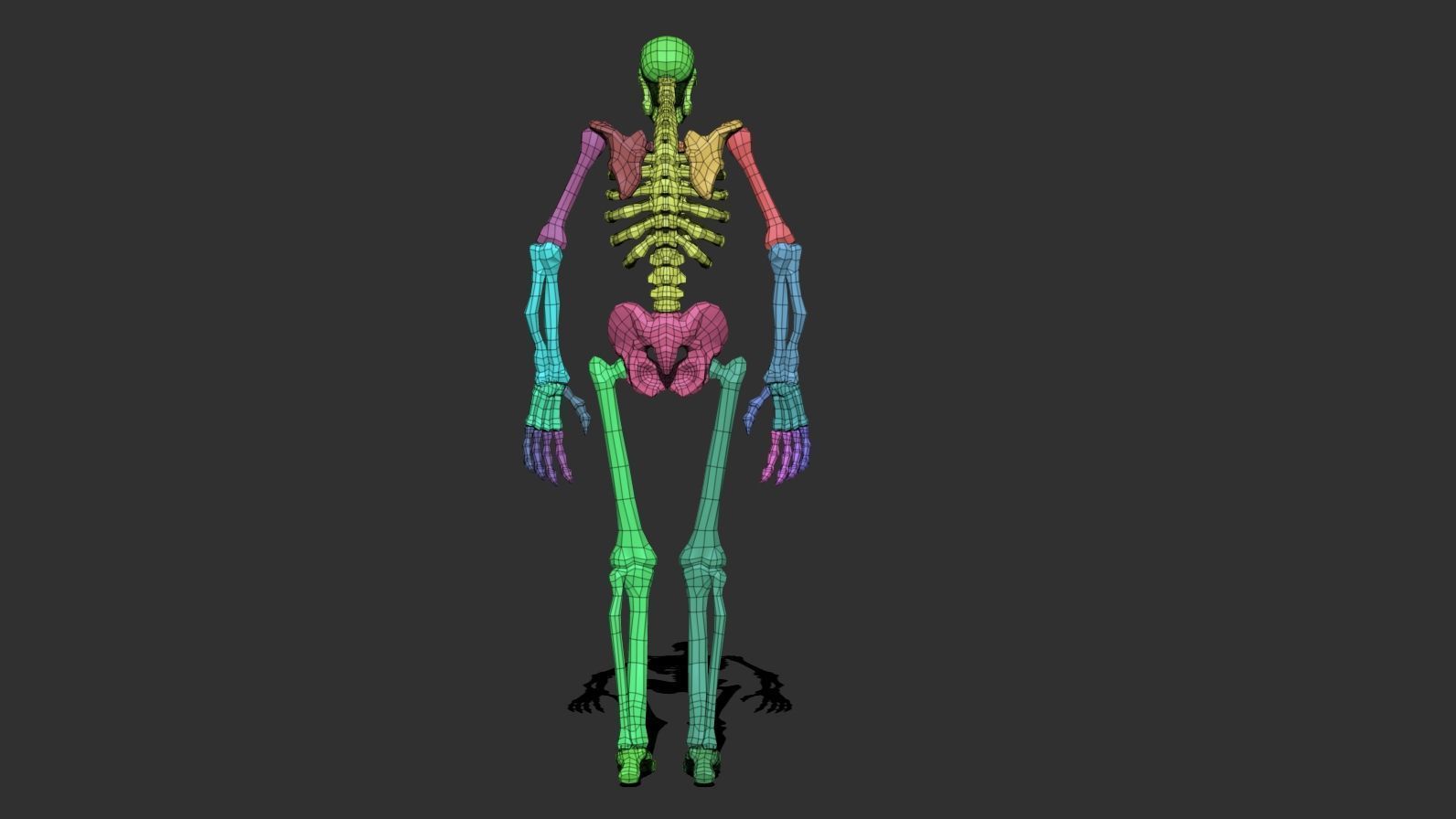 Stylized Skeleton Low-poly 3D model_18
