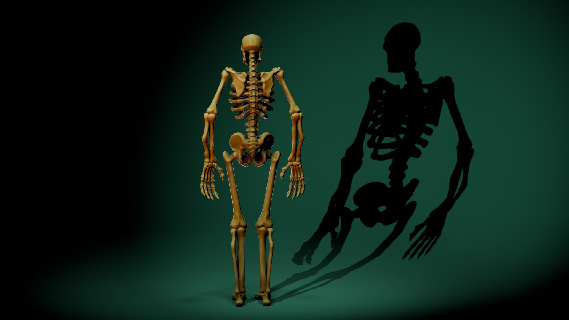 Stylized Skeleton Low-poly 3D model_4