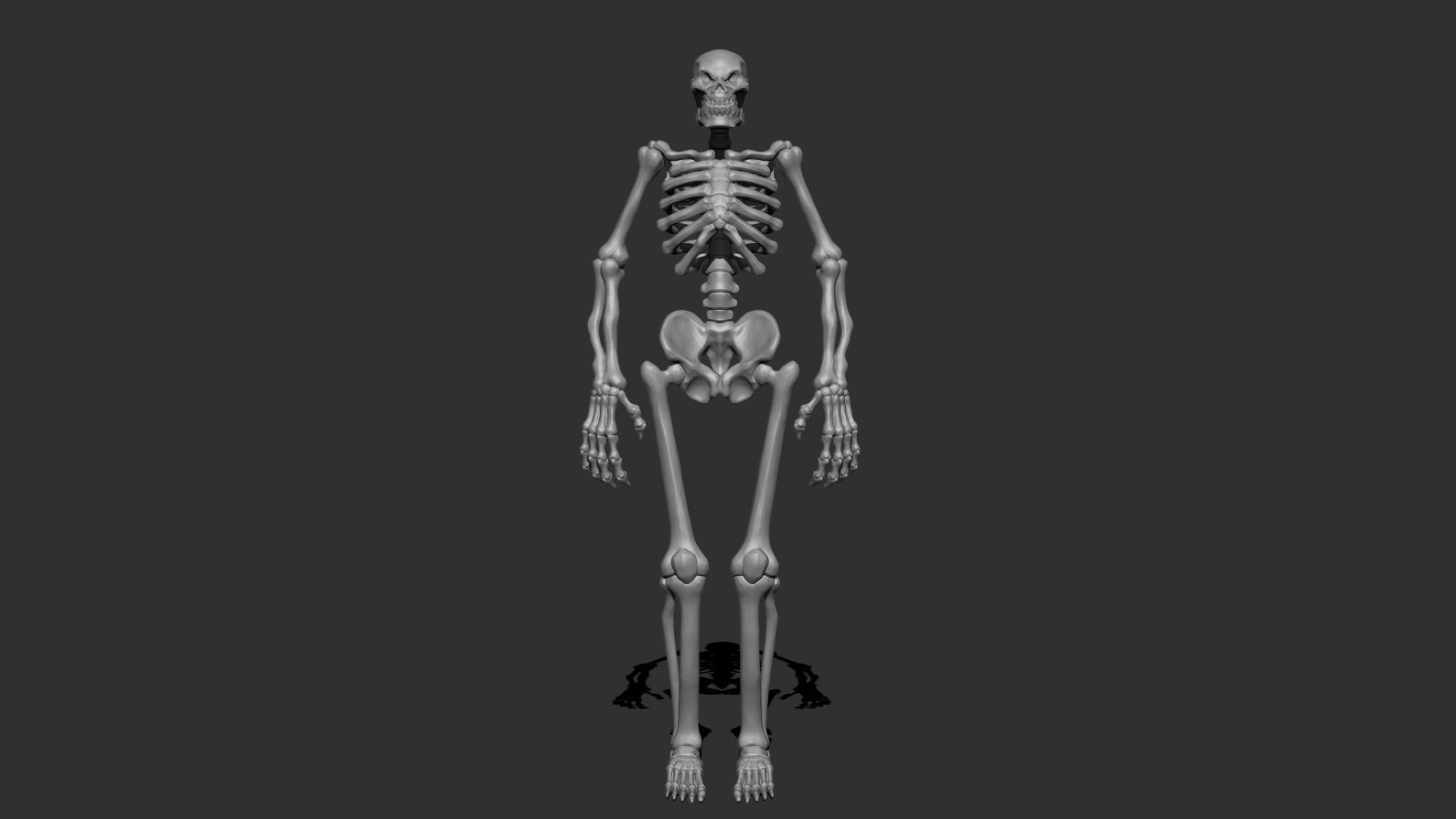 Stylized Skeleton Low-poly 3D model_10