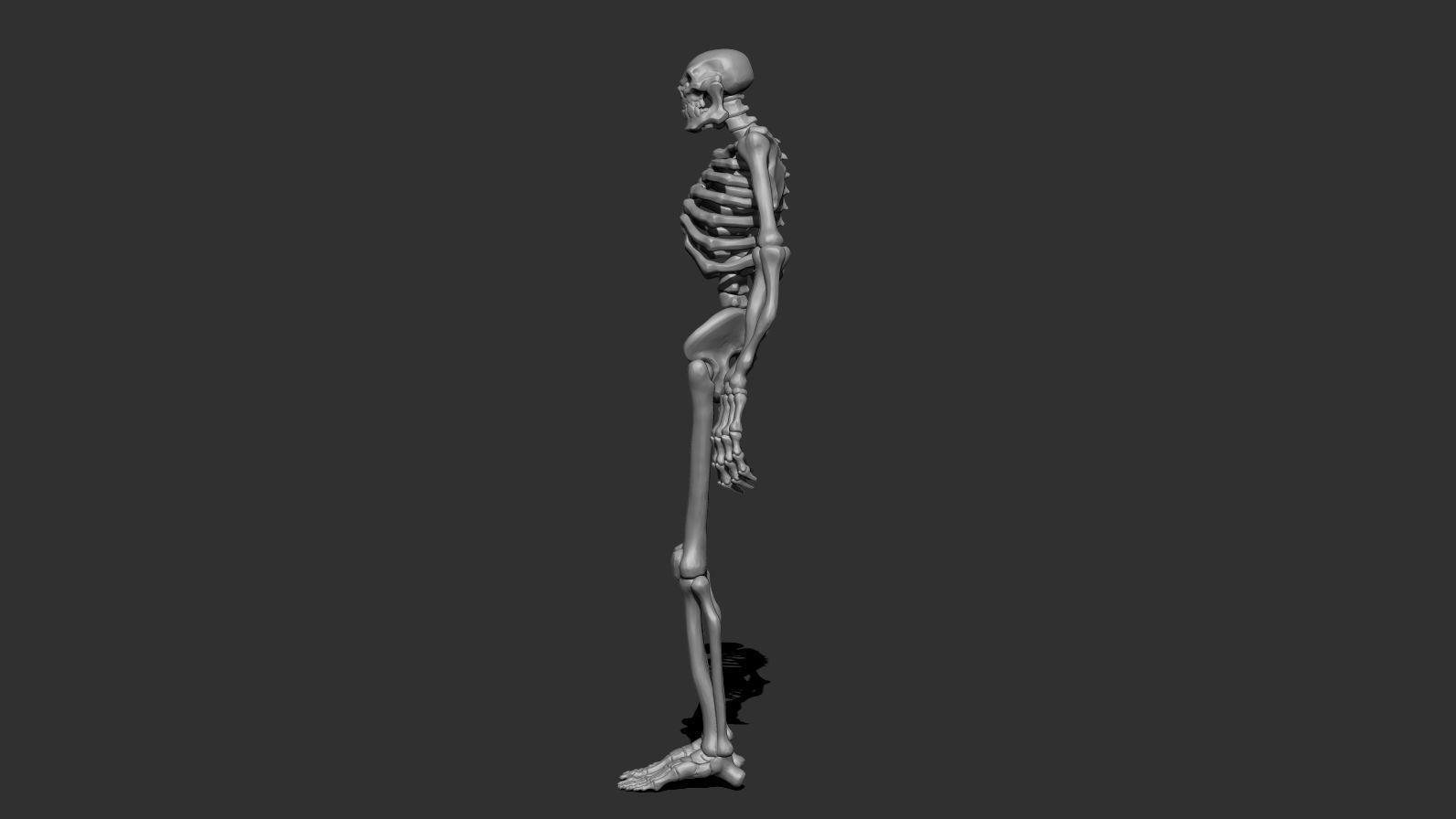 Stylized Skeleton Low-poly 3D model_11