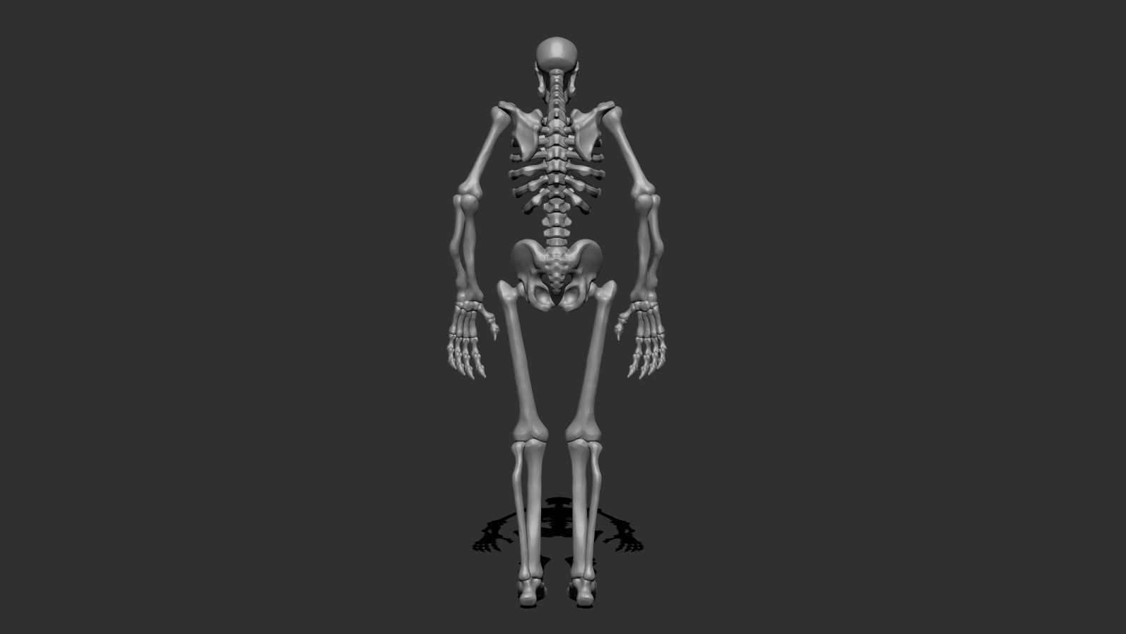 Stylized Skeleton Low-poly 3D model_12