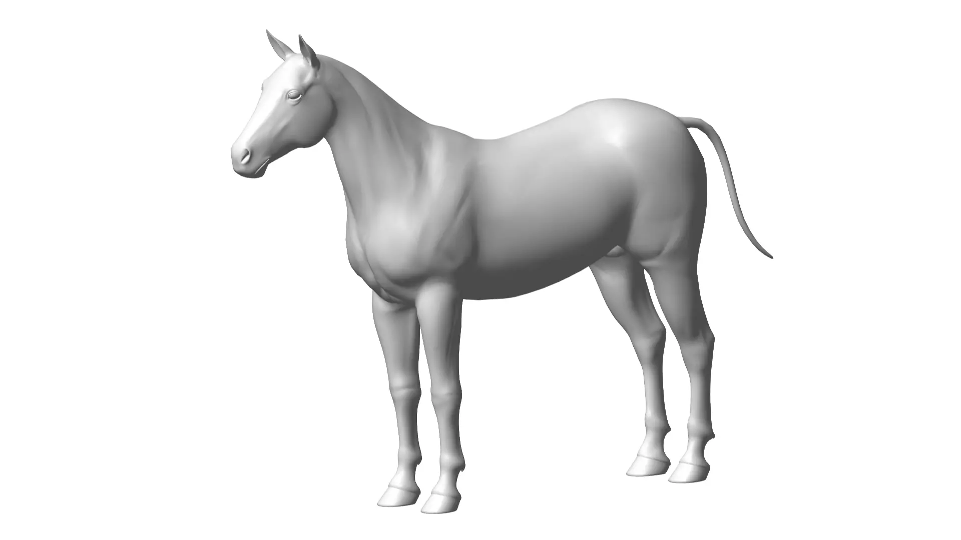 horse 3D model_0