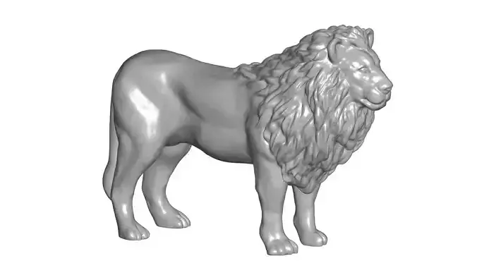 Lion -