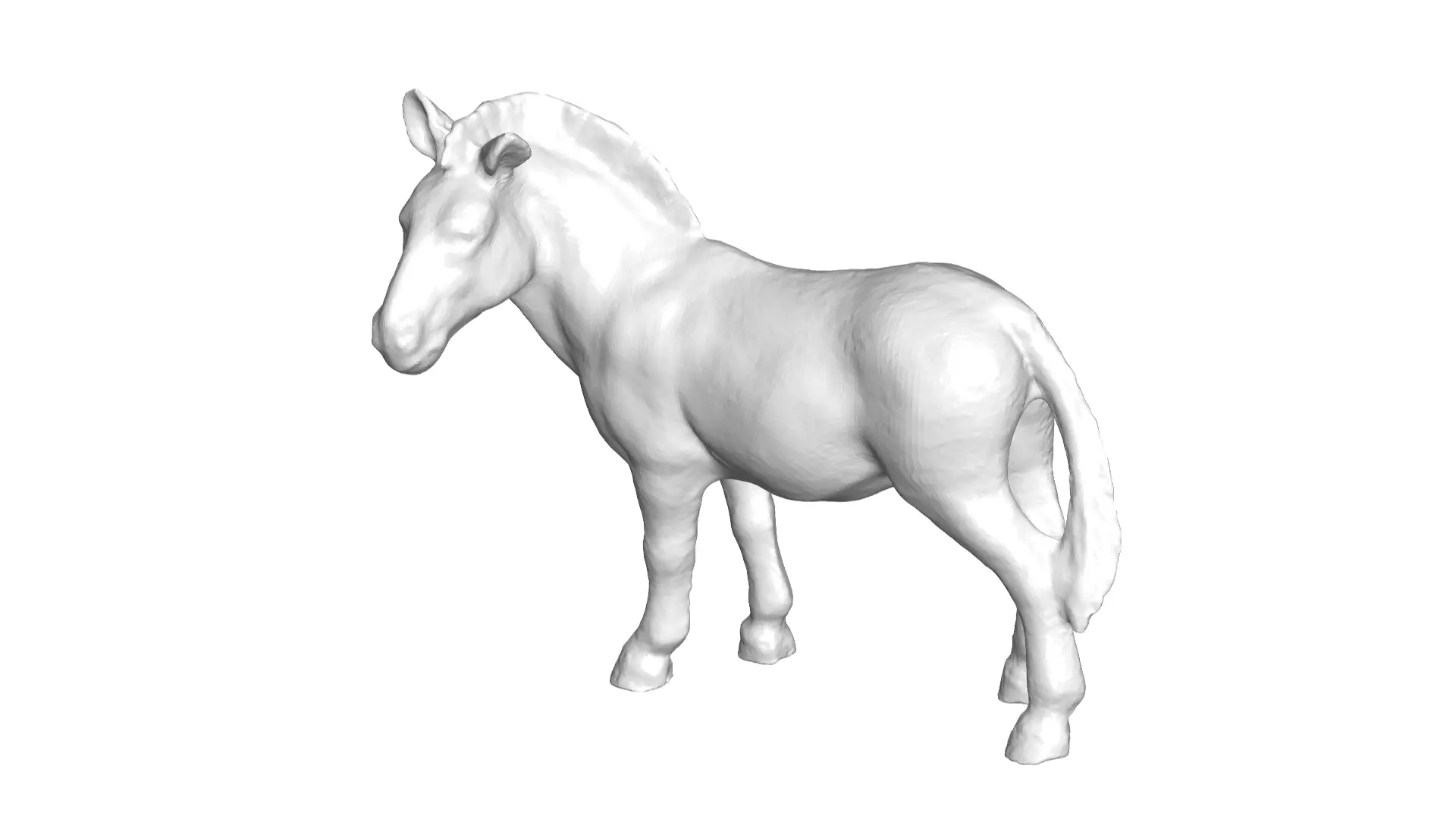 ZEBRA 3D model_0