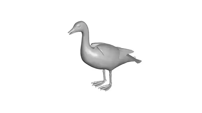 goose