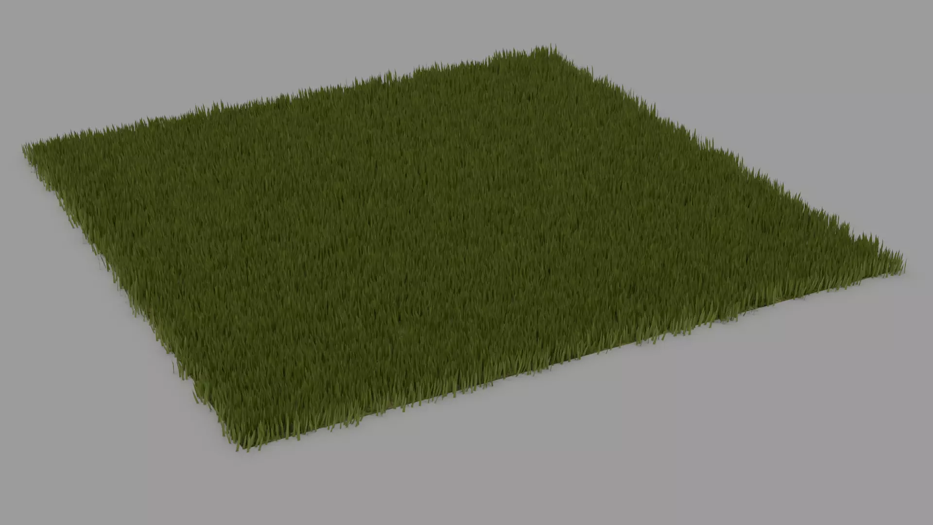 Grass 3D model_0