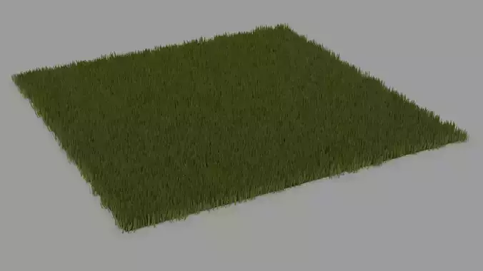 Grass