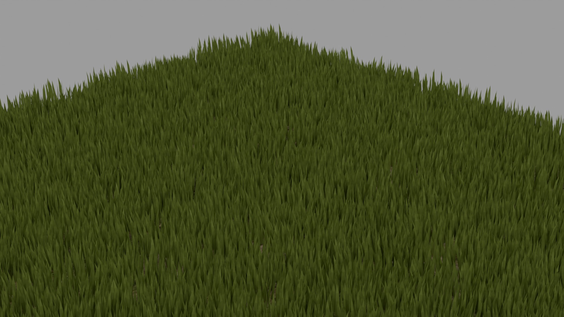 Grass 3D model_1