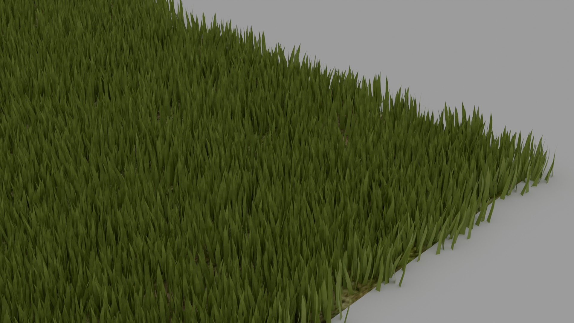 Grass 3D model_2