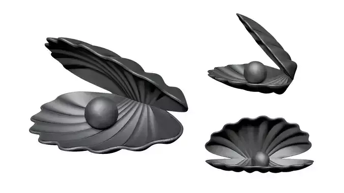  Shell pearl 3D print model