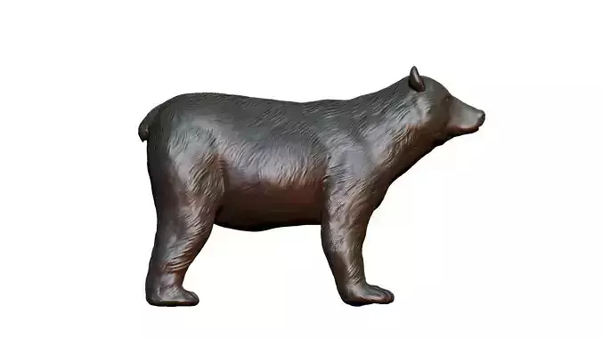 Brown Bear 3D print model