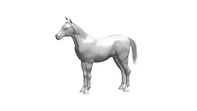 horse