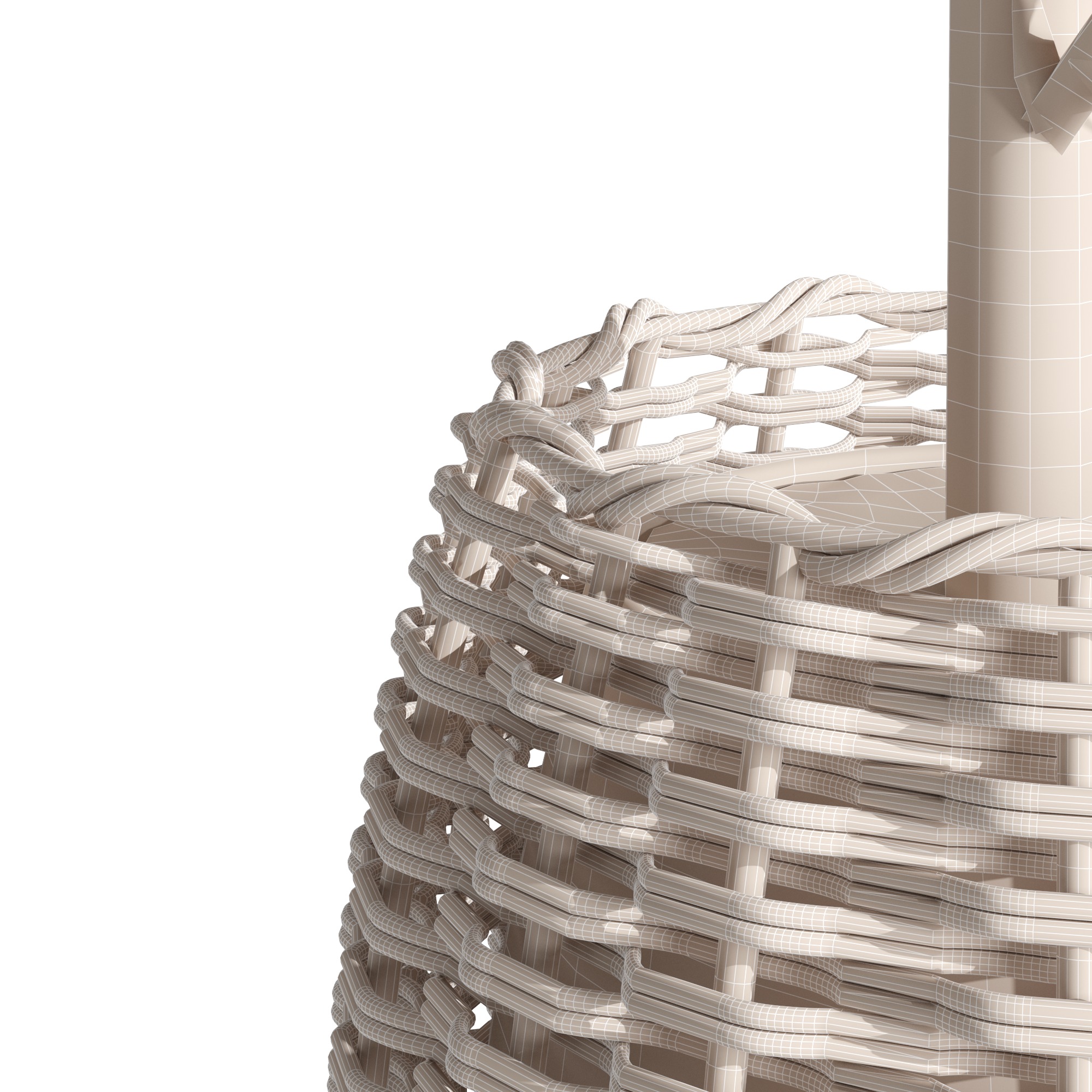 Eucalyptus tree and Eucalyptus  in wicker pot 3D model_9