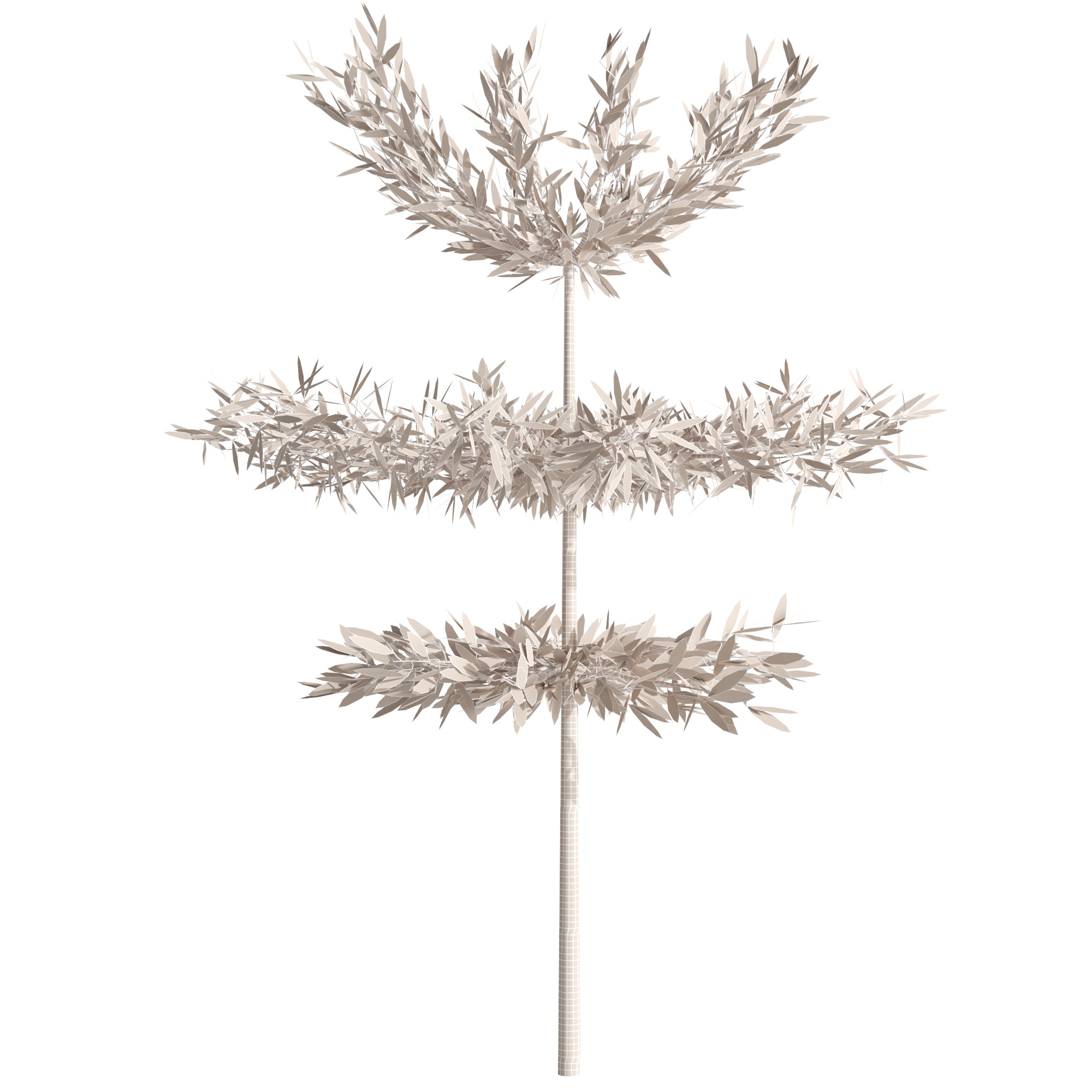 Eucalyptus tree and Eucalyptus  in wicker pot 3D model_6