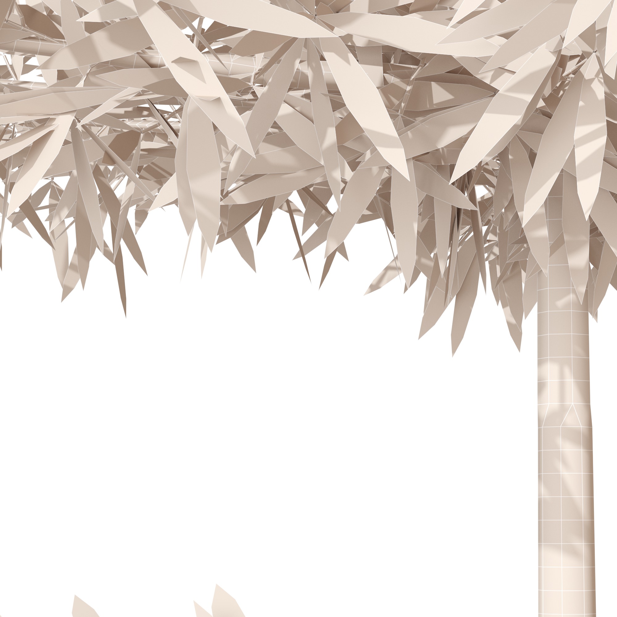 Eucalyptus tree and Eucalyptus  in wicker pot 3D model_4