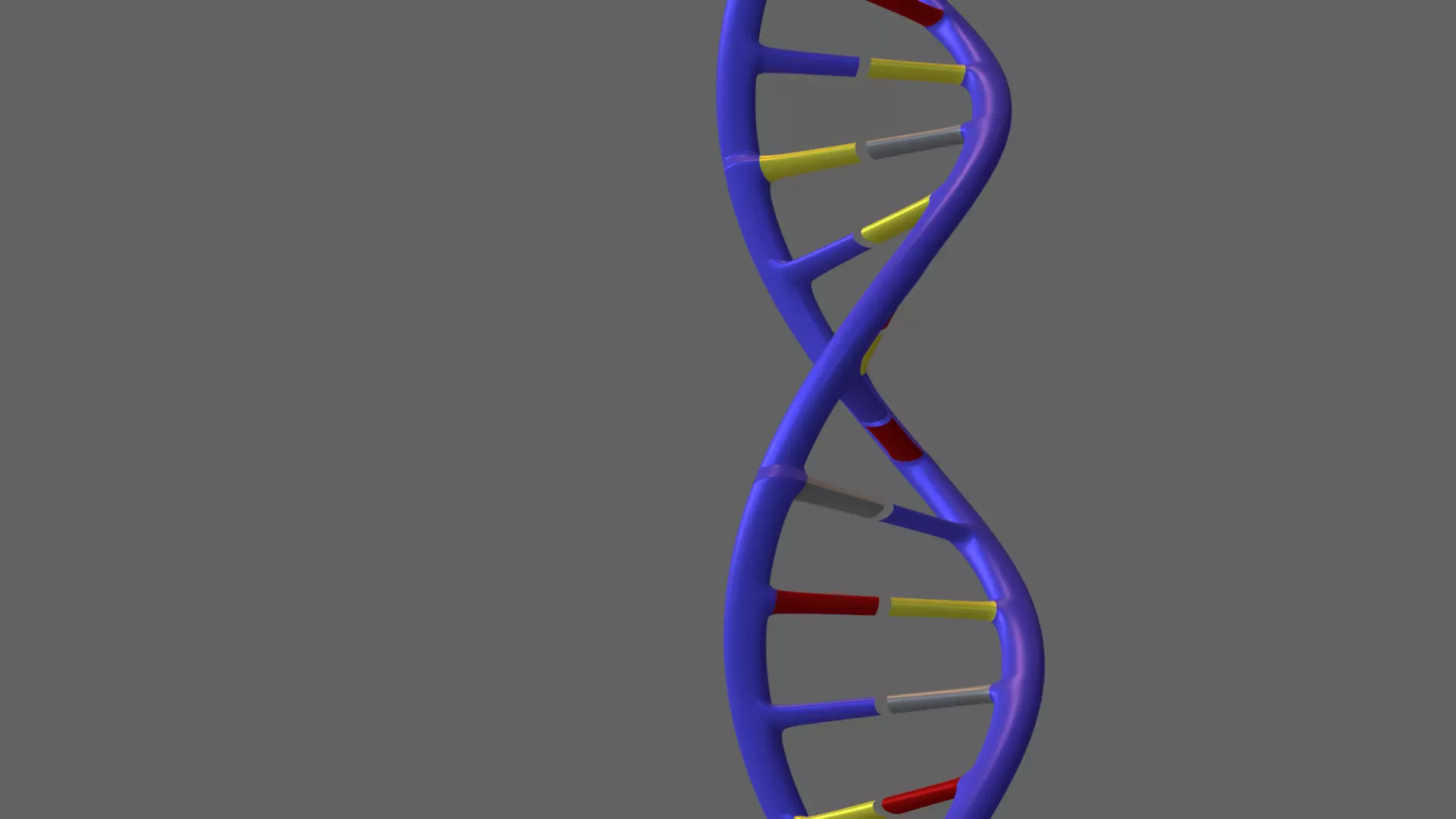 The DNA helix 3D model_0