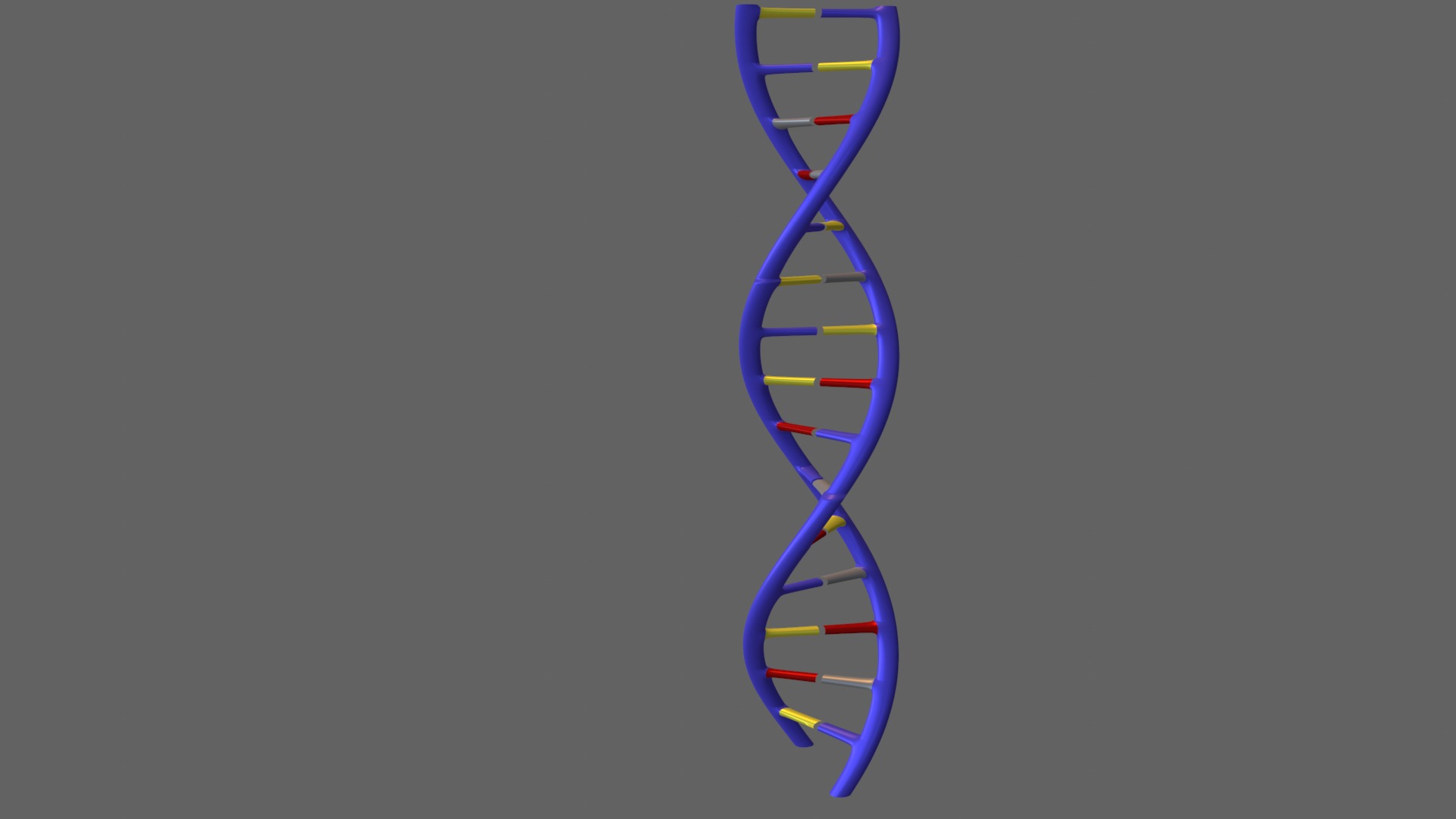 The DNA helix 3D model_1