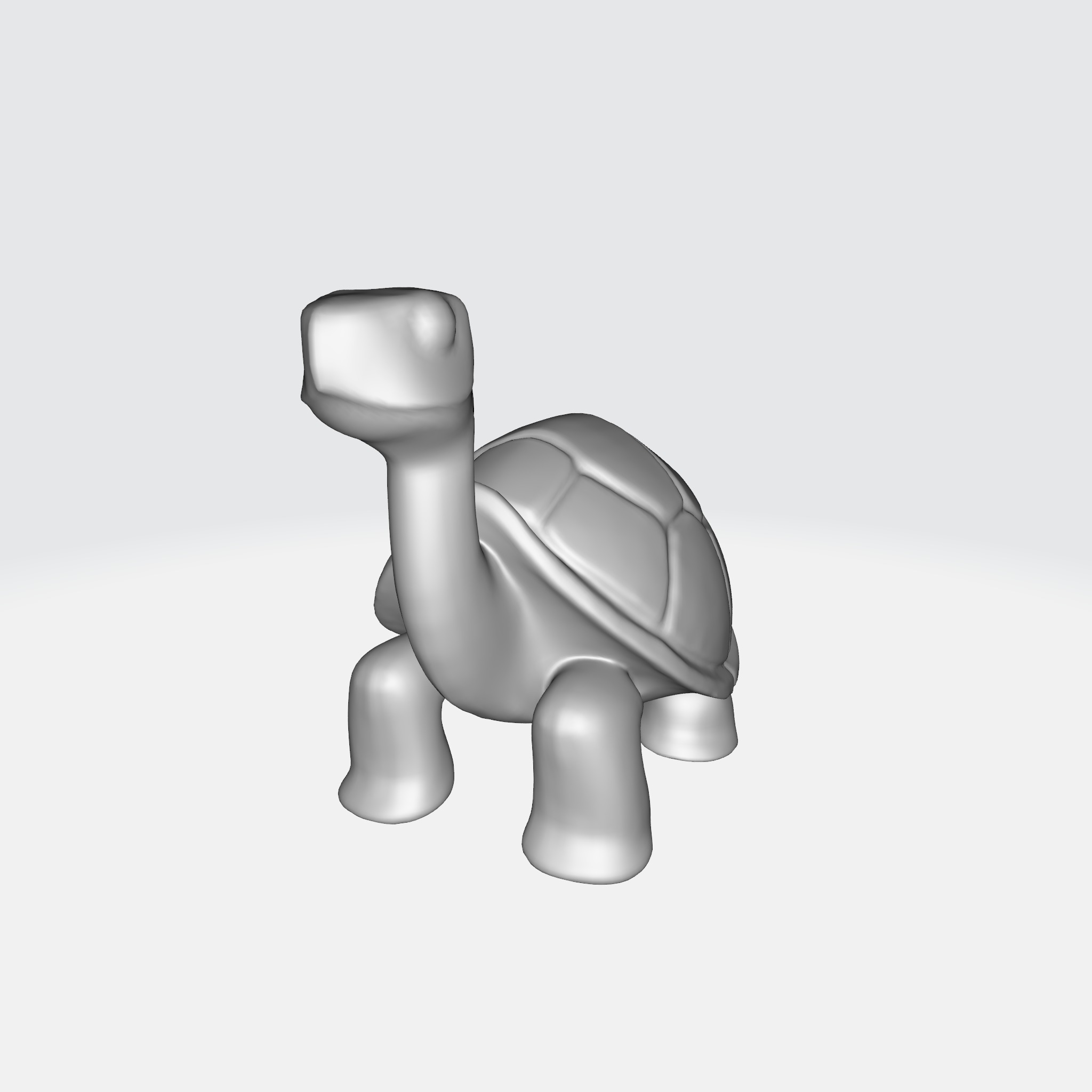 Charming Turtle 3D model_6