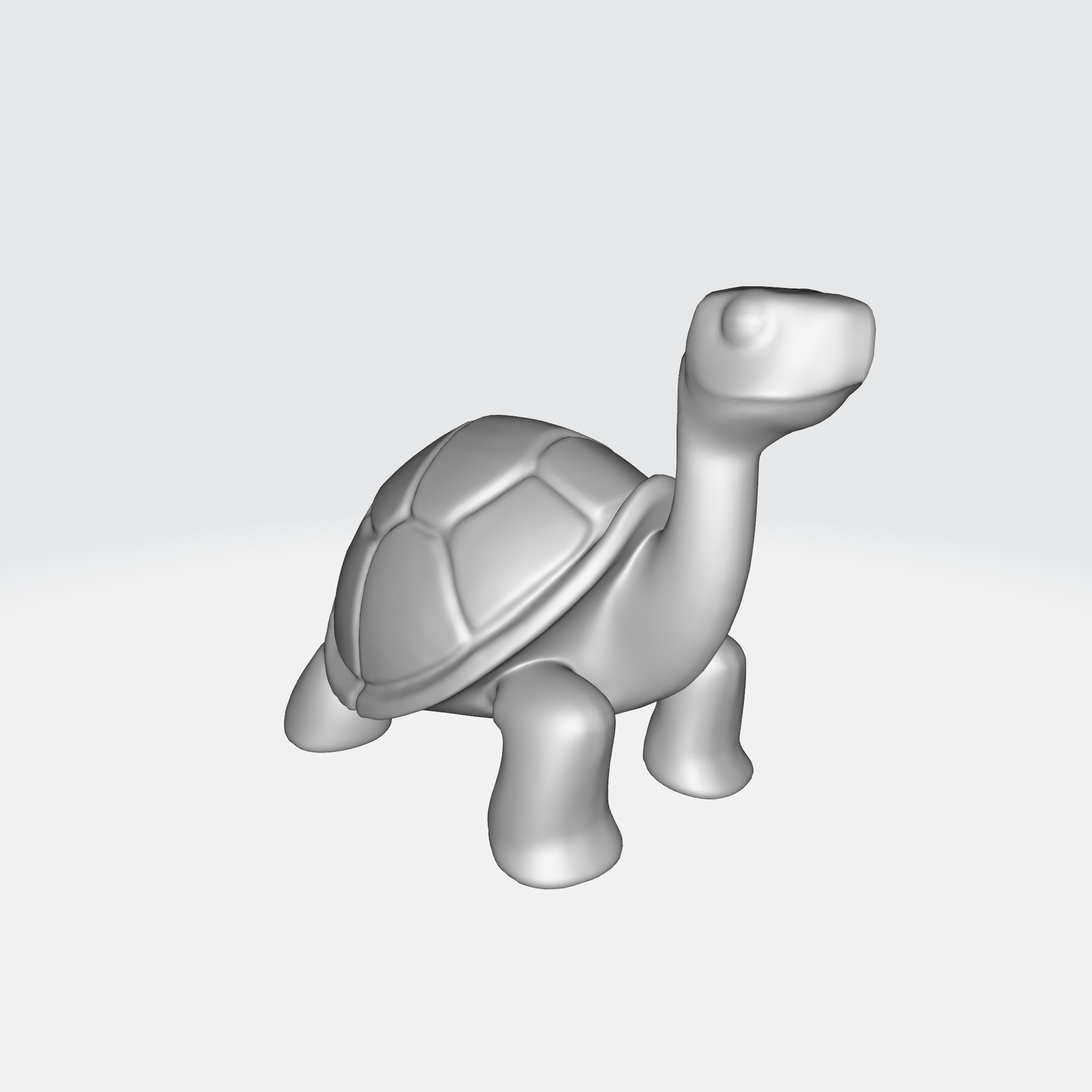Charming Turtle 3D model_5