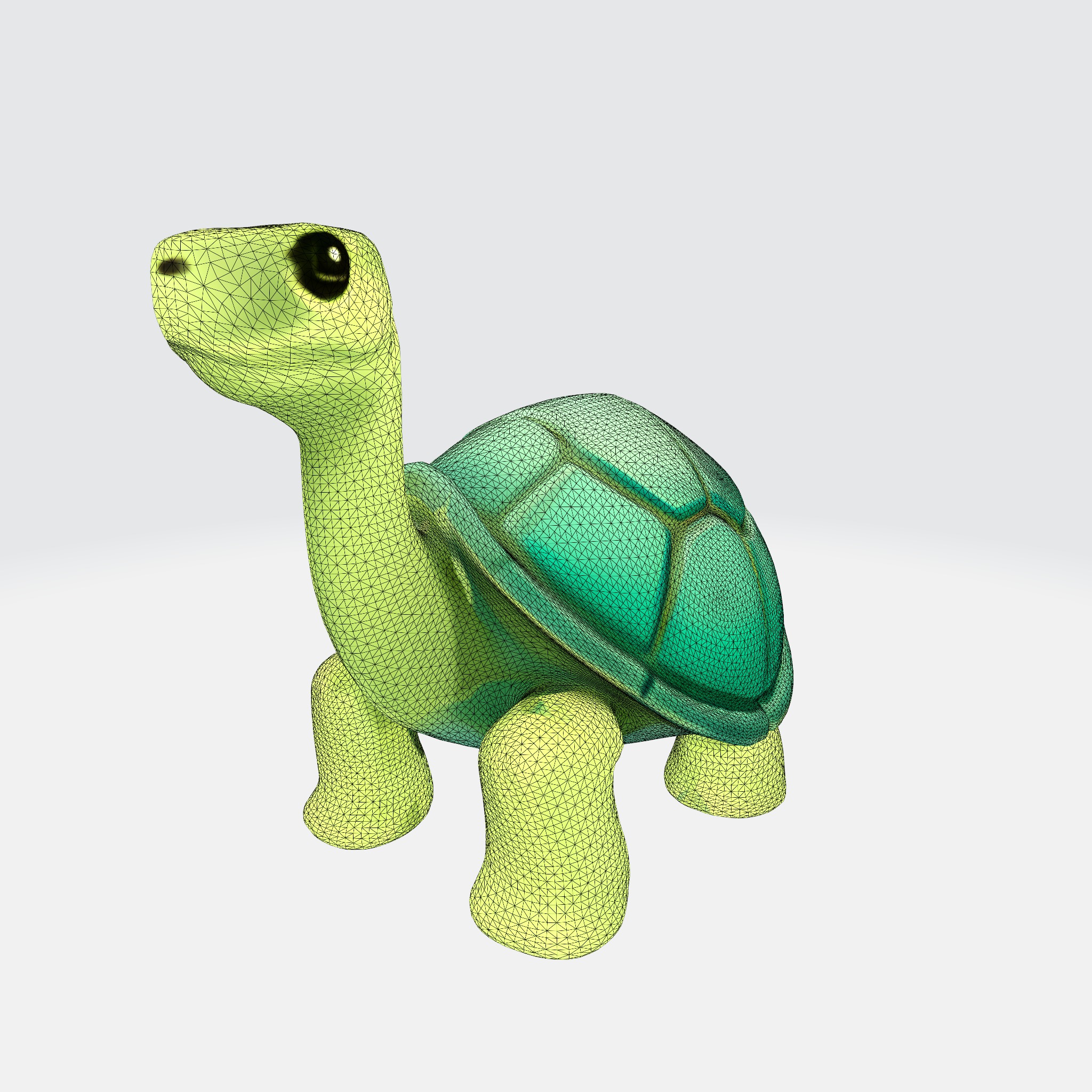 Charming Turtle 3D model_12