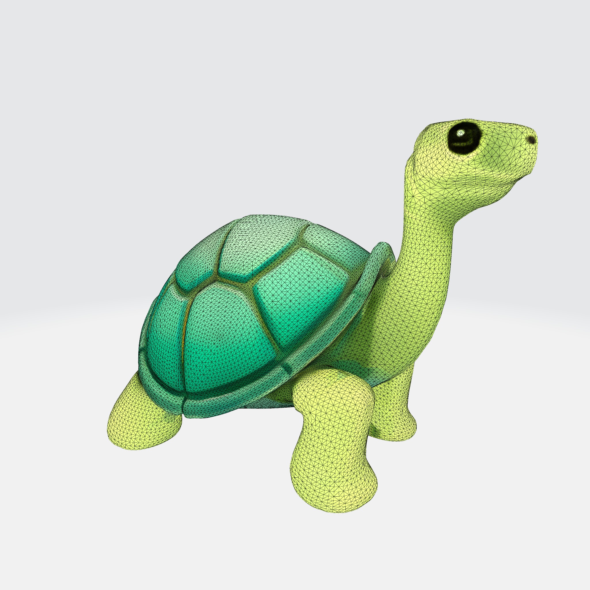 Charming Turtle 3D model_14