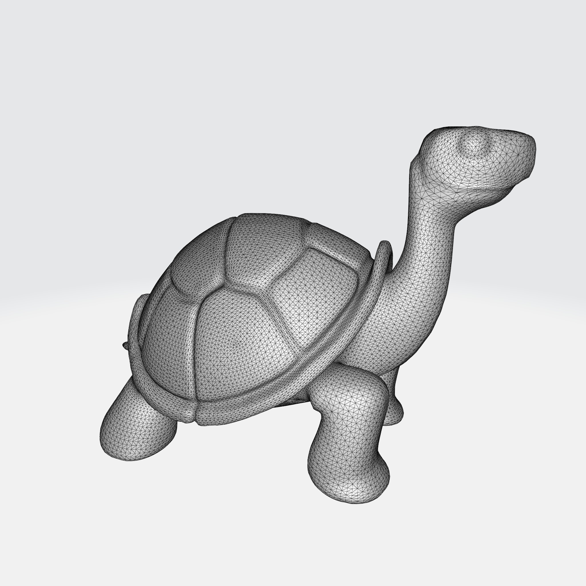 Charming Turtle 3D model_8