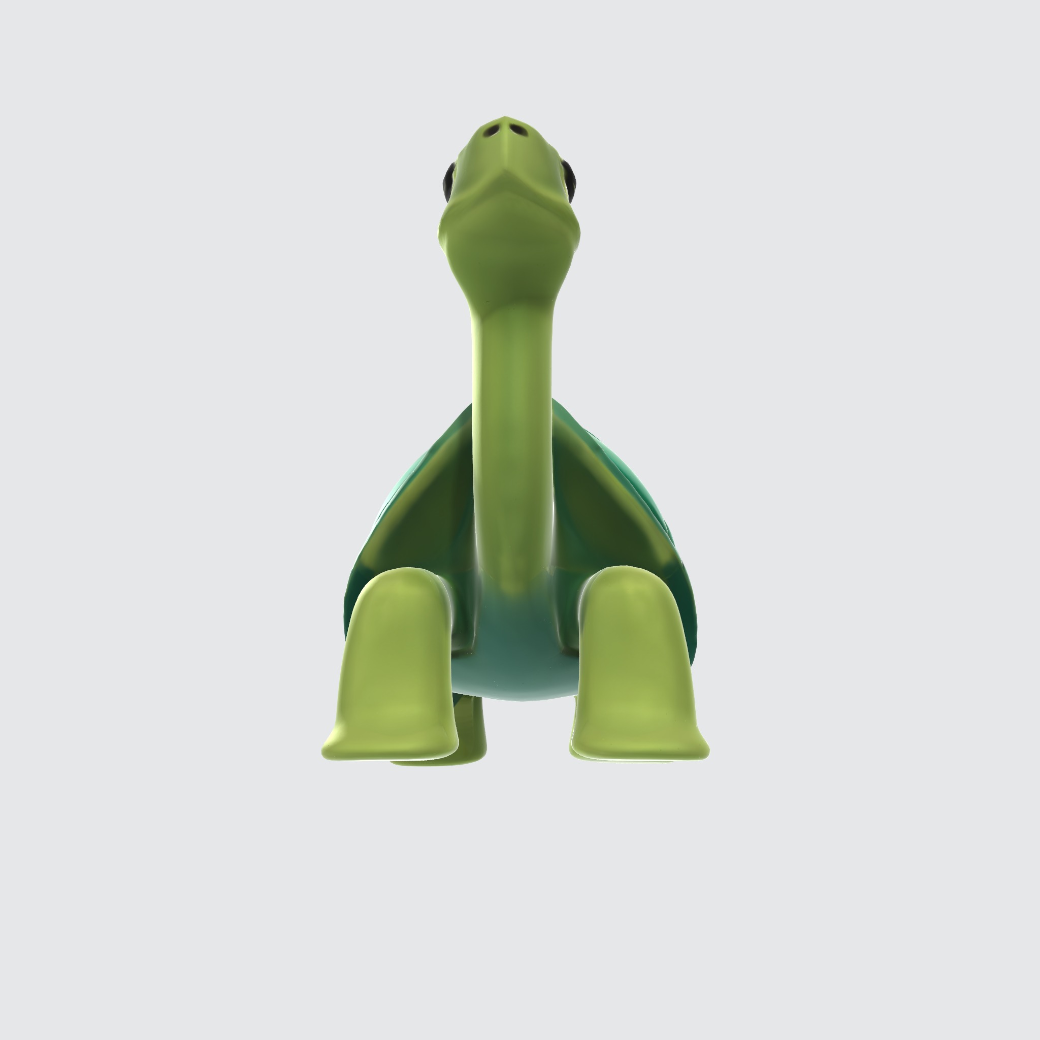 Charming Turtle 3D model_4