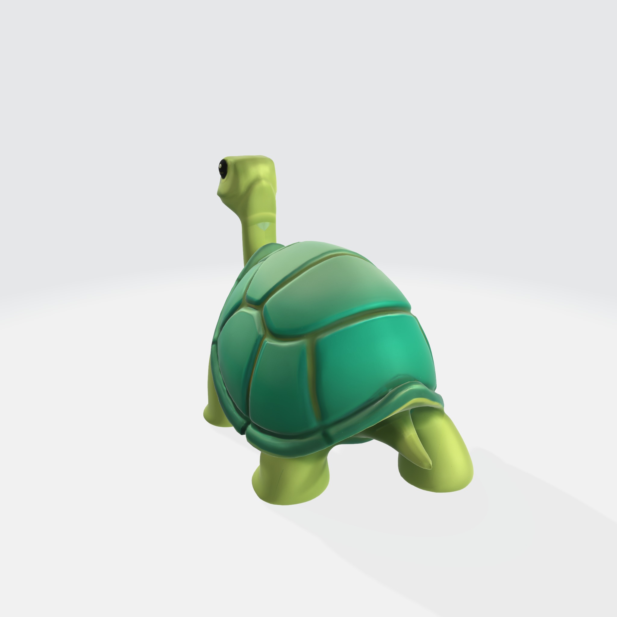Charming Turtle 3D model_2