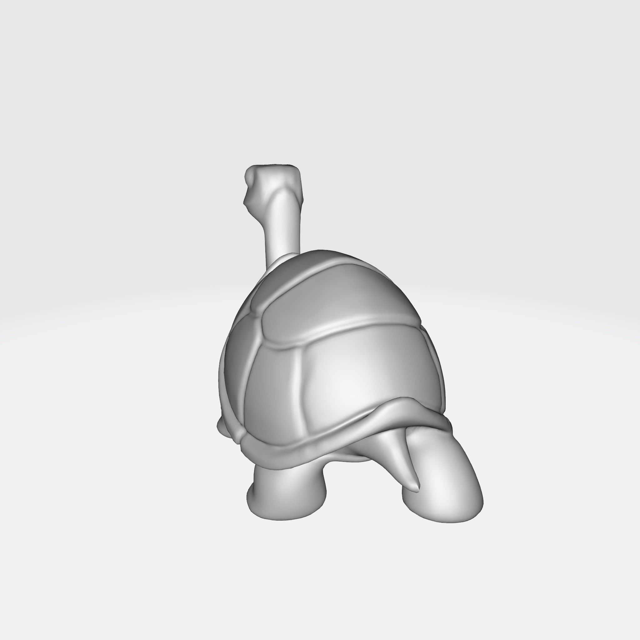Charming Turtle 3D model_7