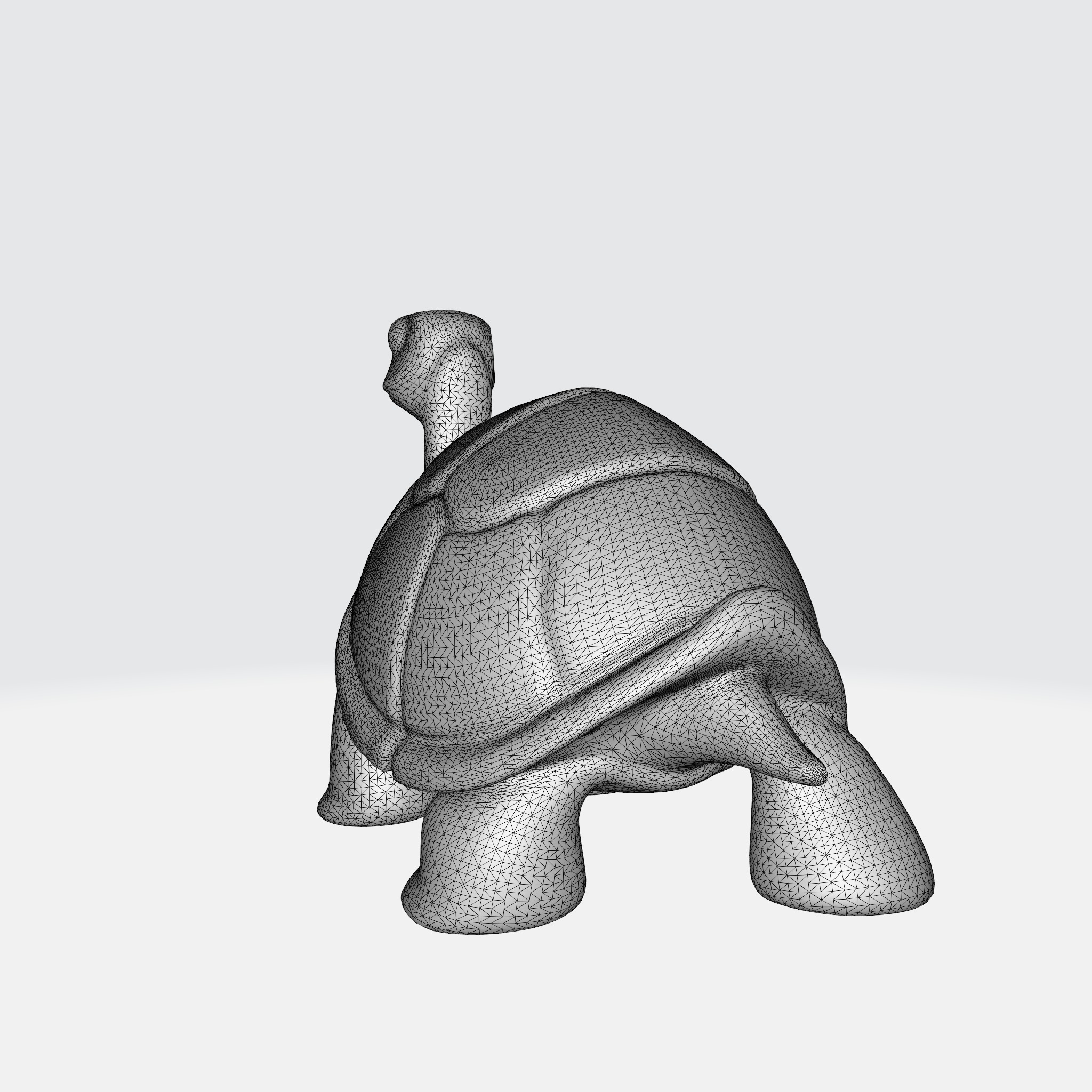 Charming Turtle 3D model_11