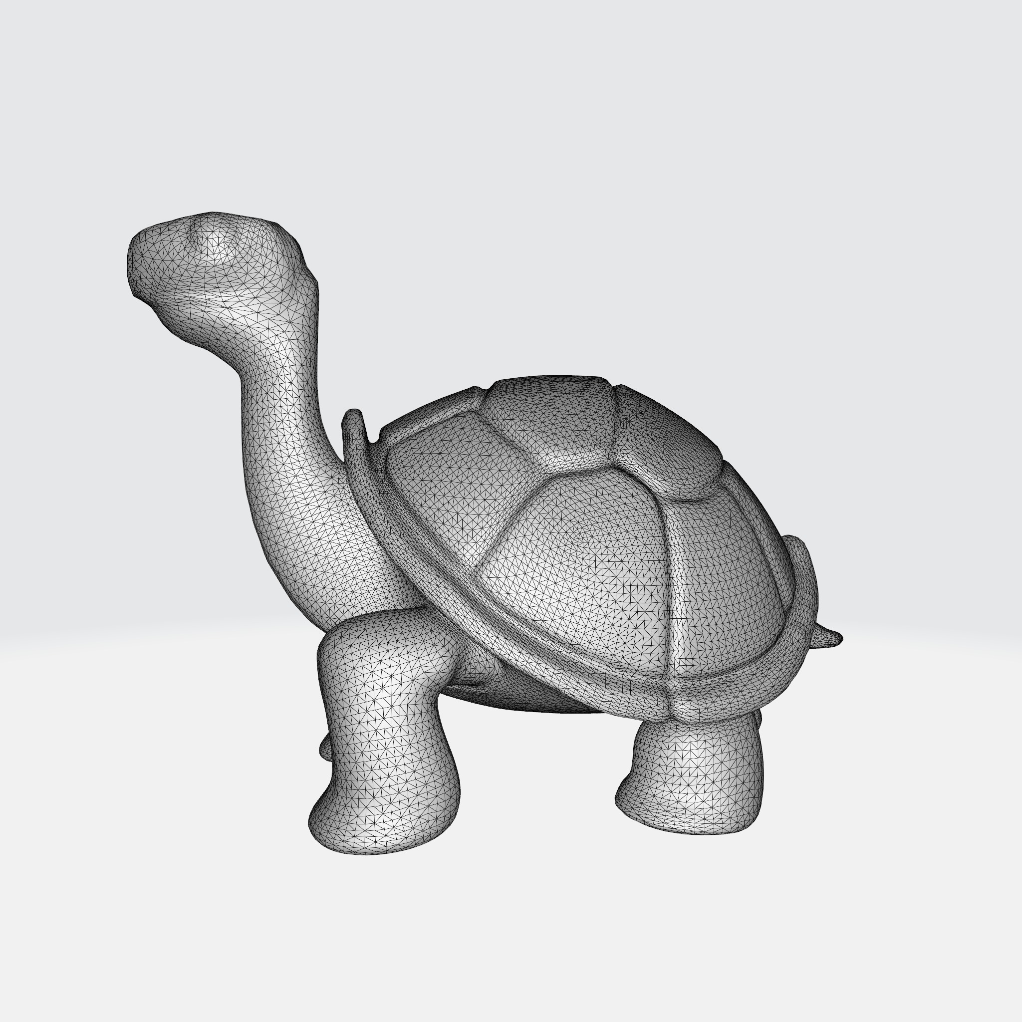 Charming Turtle 3D model_10