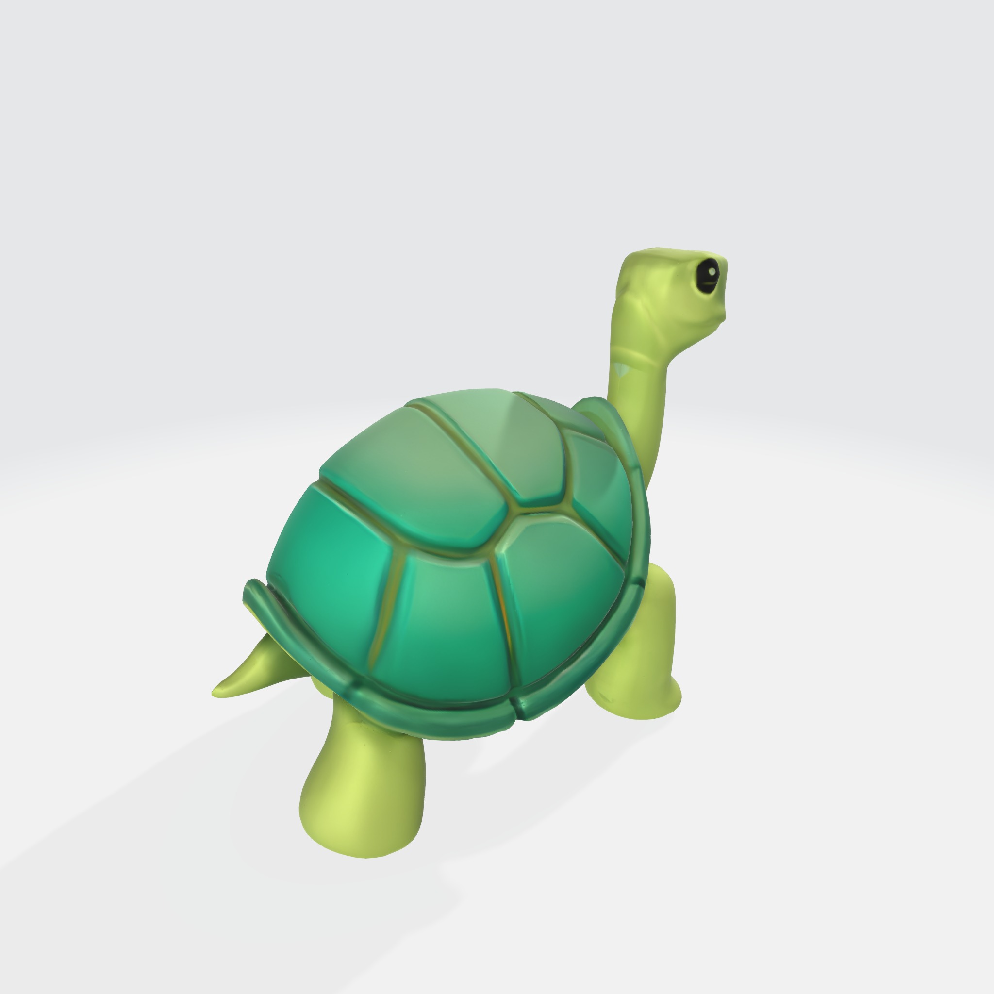 Charming Turtle 3D model_3